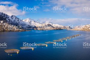 Fish farms in Norway where DOM International farms their fish. Beautiful background with blue skies and mountains